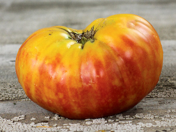 Heirloom Tomato Flame-Tomato