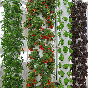 The Tower Garden The Locavore Bible: Best Farmers Markets & Farm Stands