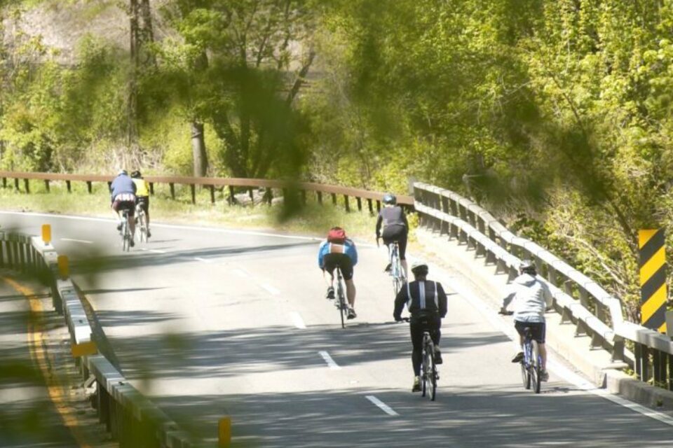 Bicycle Sundays Bronx River Parkway What To Do