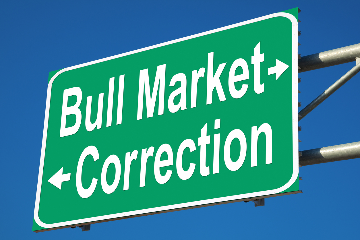 Year is review. Bull Market. Mid year Review. Corrections. Short-term Turbulence in the Market.