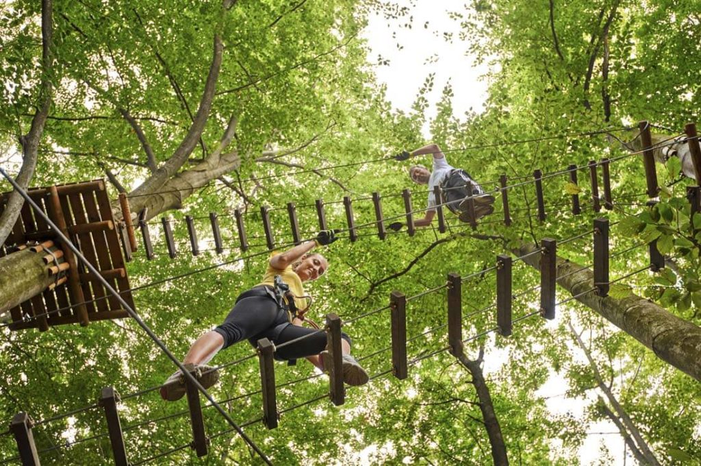 Boundless Adventures Aerial Park in Purchase - What To Do