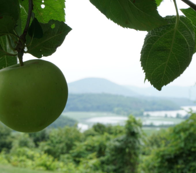 Boscobel Apple Fest