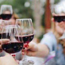 The Hudson Valley Wine & Food Festival