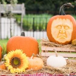 Spooky Pumpkin Garden @ NYBG