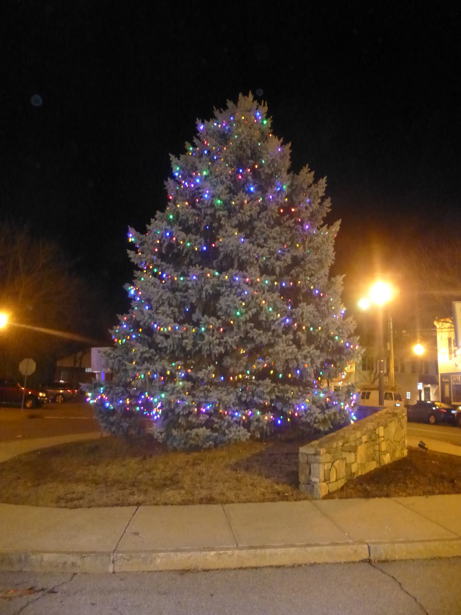 Bedford Hills Tree Lighting What To Do Armonk Bedford Chappaqua