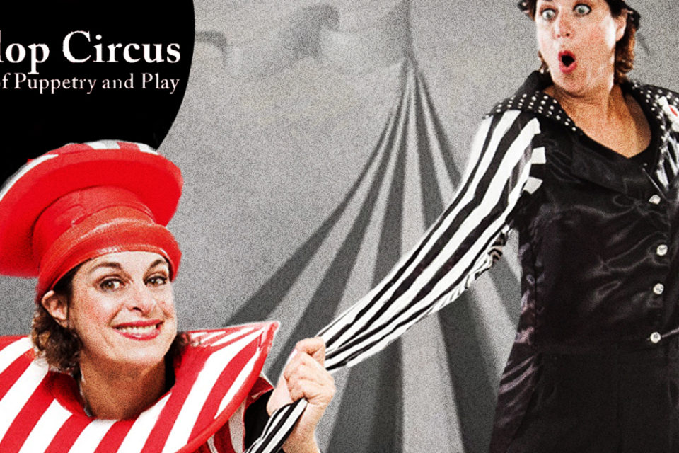 Playtime The Palace The Flip Flop Circus What To Do Armonk