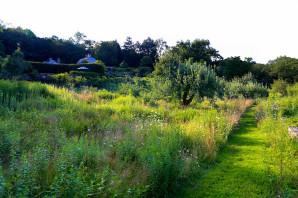 Open Garden River Hills Bedford