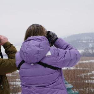 Eagle Watch @ Boscobel