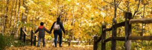 NYBG Fall Forest Weekends