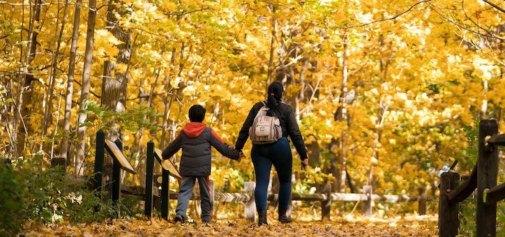 NYBG Fall Forest Weekends