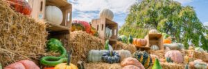 NYBG: Scarecrows & Pumpkins