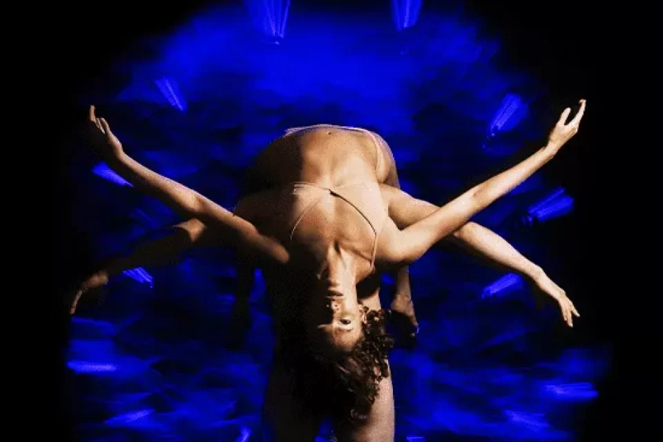 Pilobolus Big Five-Oh! at The Ridgefield Playhouse