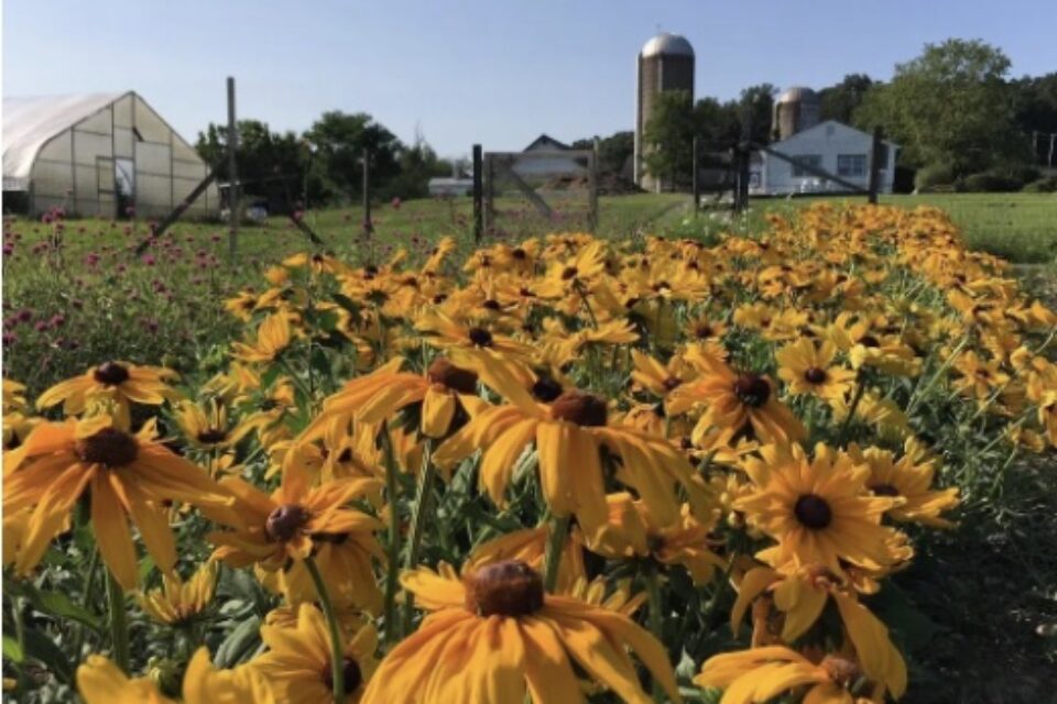 Hilltop Hanover Farm: View, Brews & BBQ