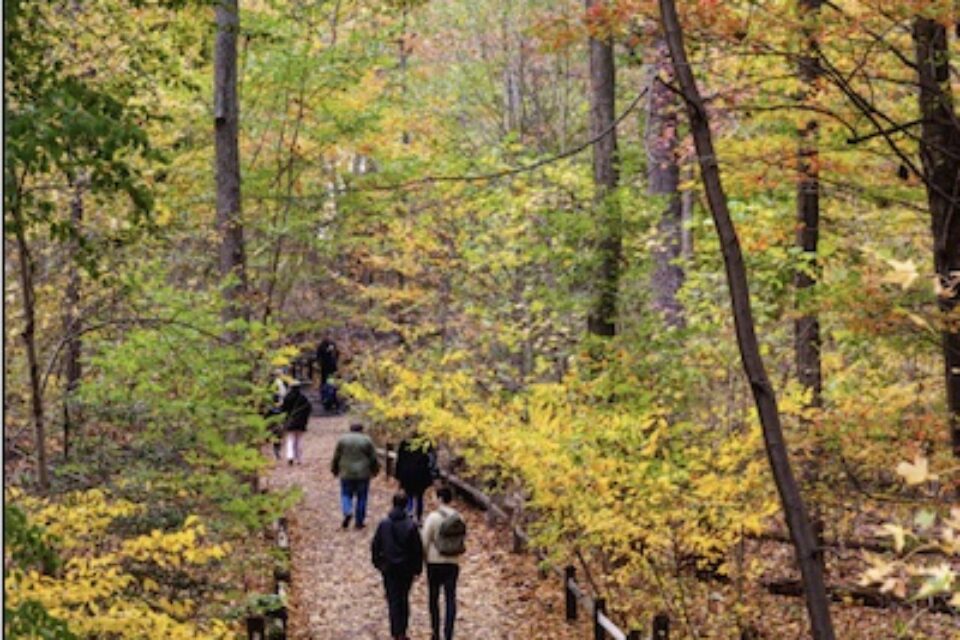 New York Botanical Garden: Fall Forest Weekend