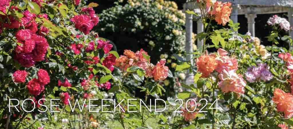 Lyndhurst Mansion: Rose Weekend