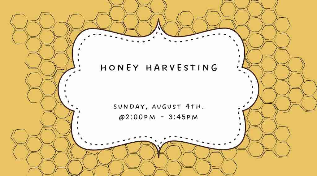 Come join us as we harvest the honey from our bee hives. This is a fun and tasty hands-on experience where we will be visiting the bee hives to get a close-up view of what’s going on inside.