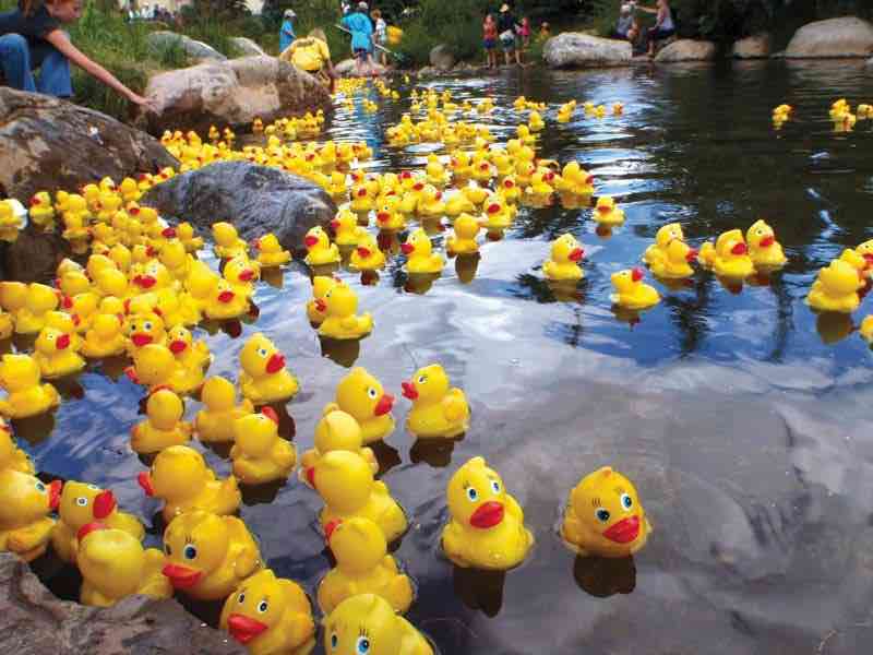 BRLA Duck Derby